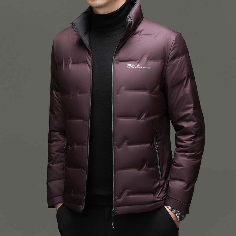 Winter Down Jacket 2026 Light  - Streetwear Brand Jacket 评论和价格